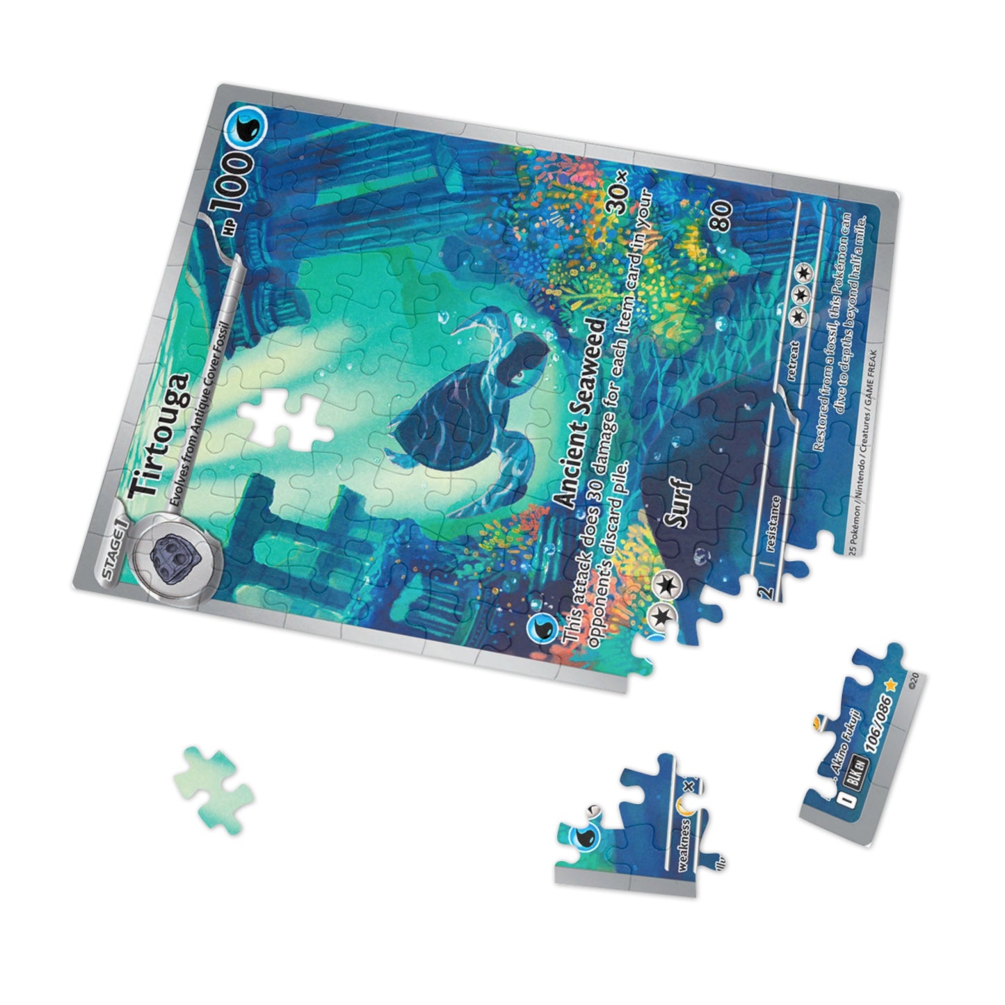Tirtouga Jigsaw Puzzle