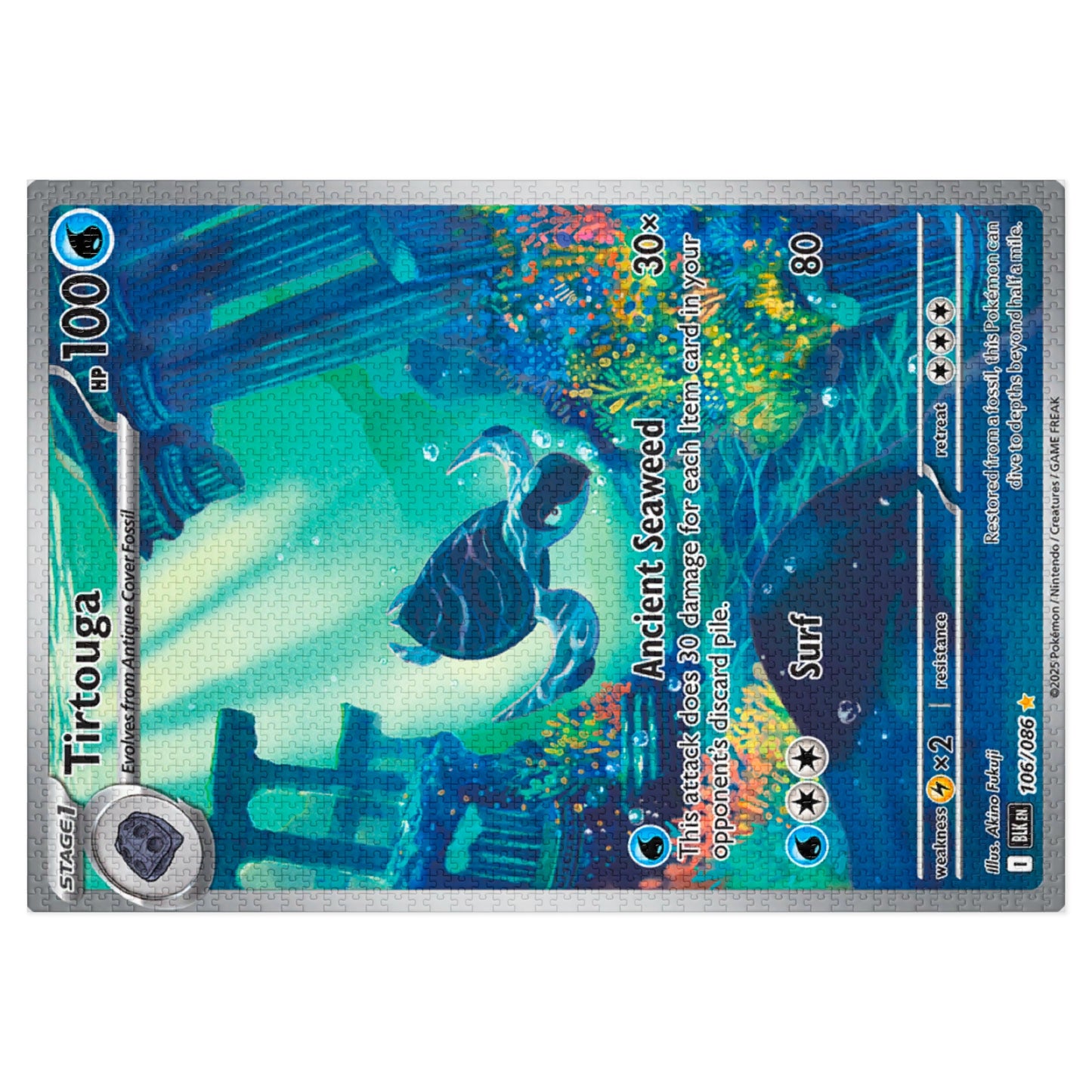 Tirtouga Jigsaw Puzzle