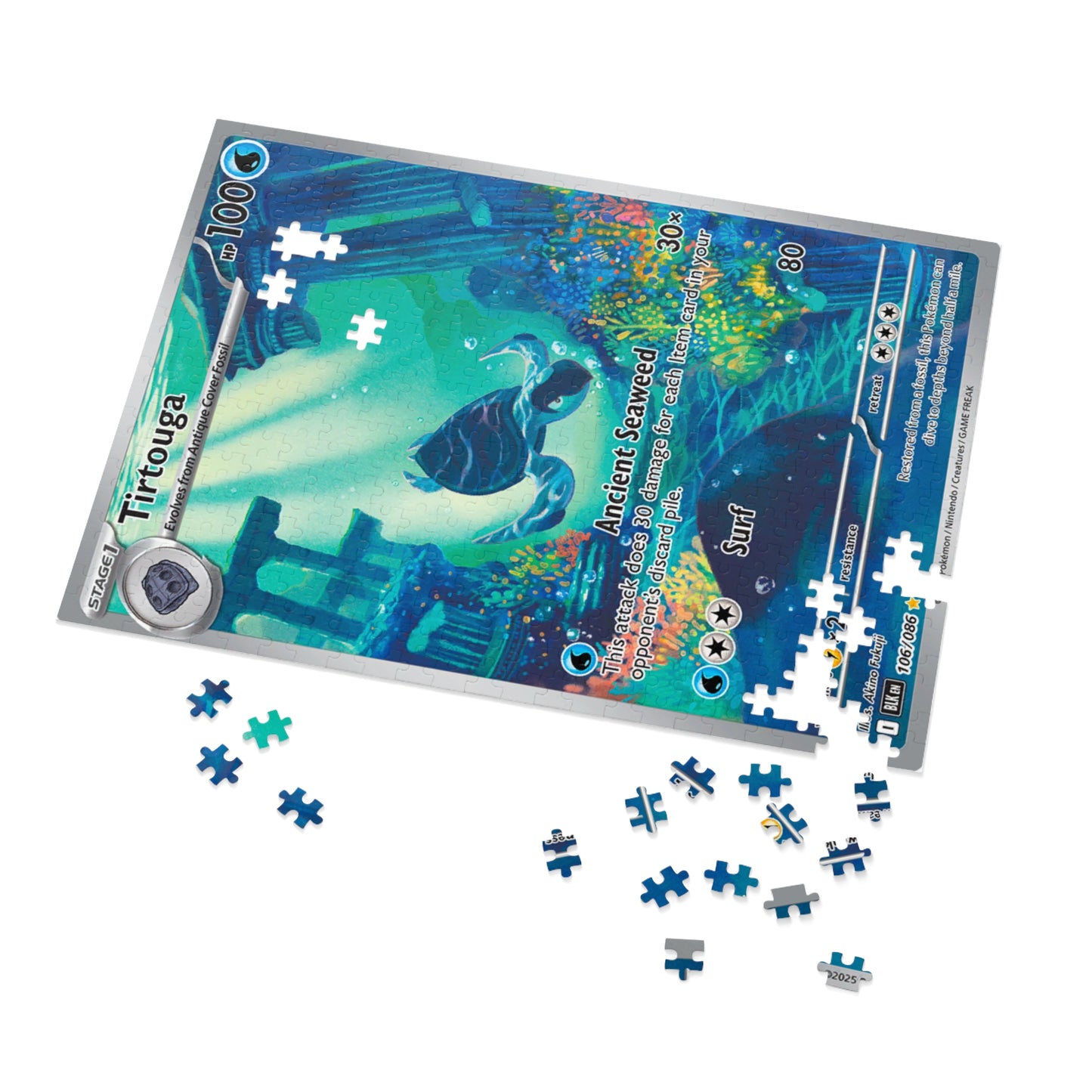 Tirtouga Jigsaw Puzzle