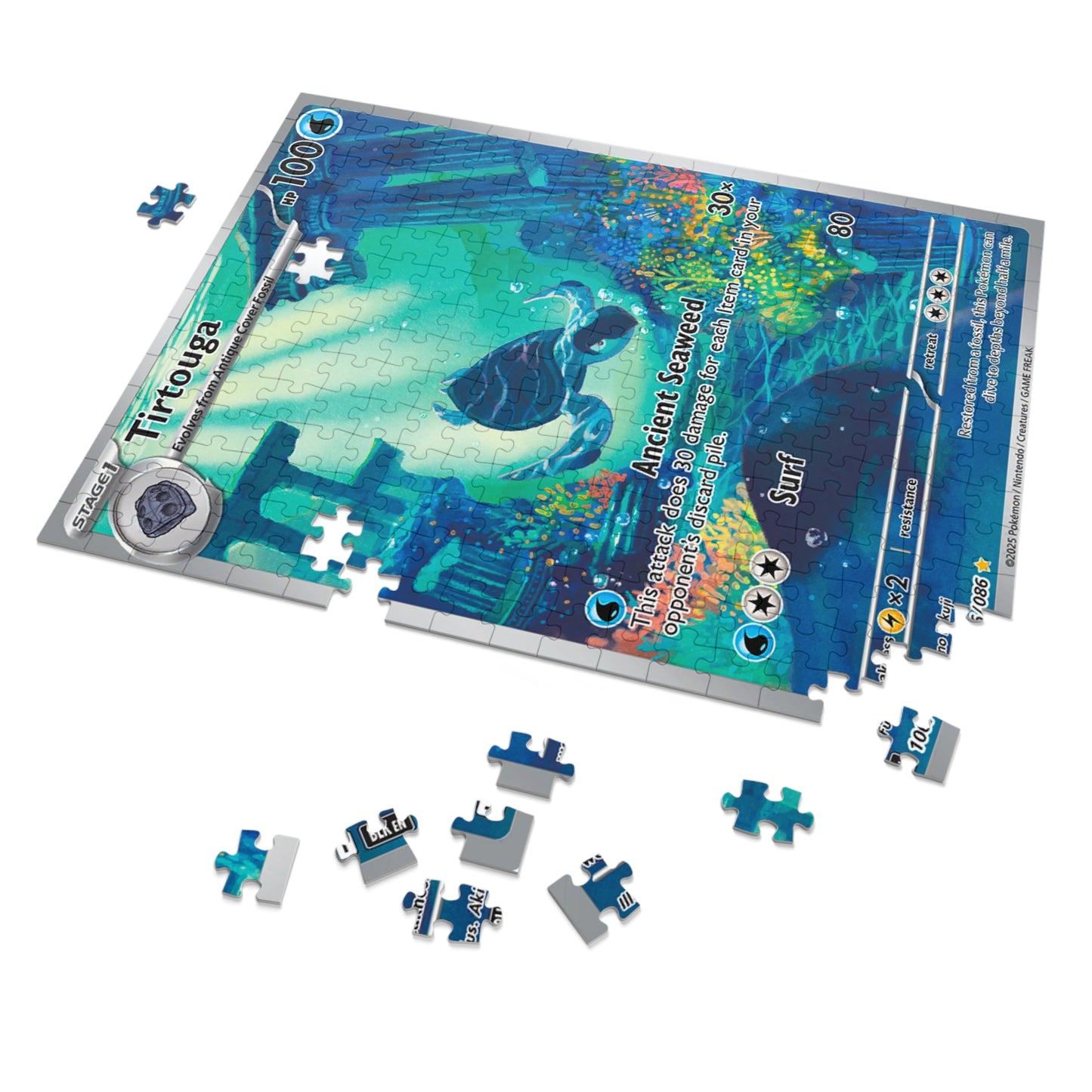 Tirtouga Jigsaw Puzzle