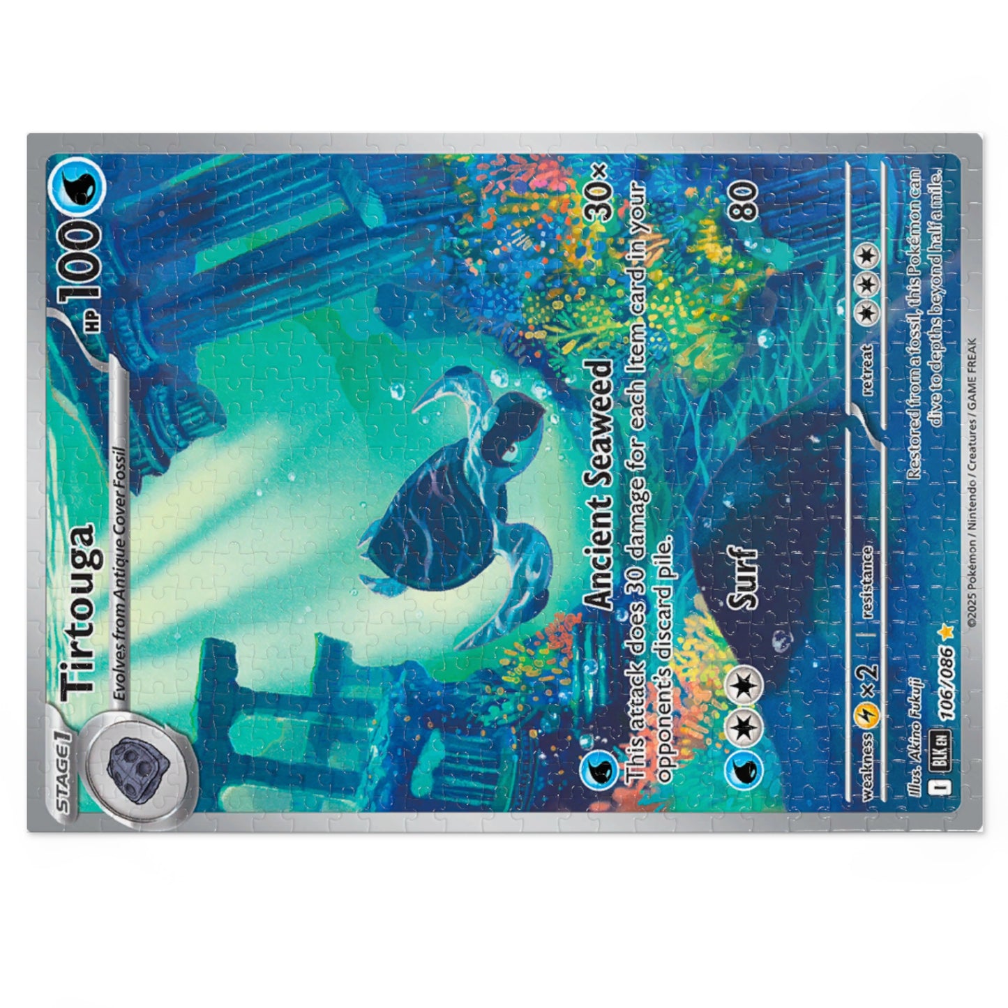 Tirtouga Jigsaw Puzzle