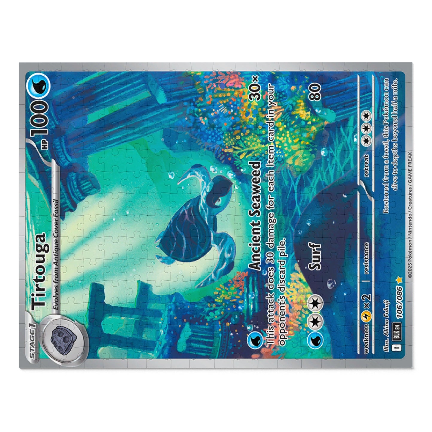 Tirtouga Jigsaw Puzzle