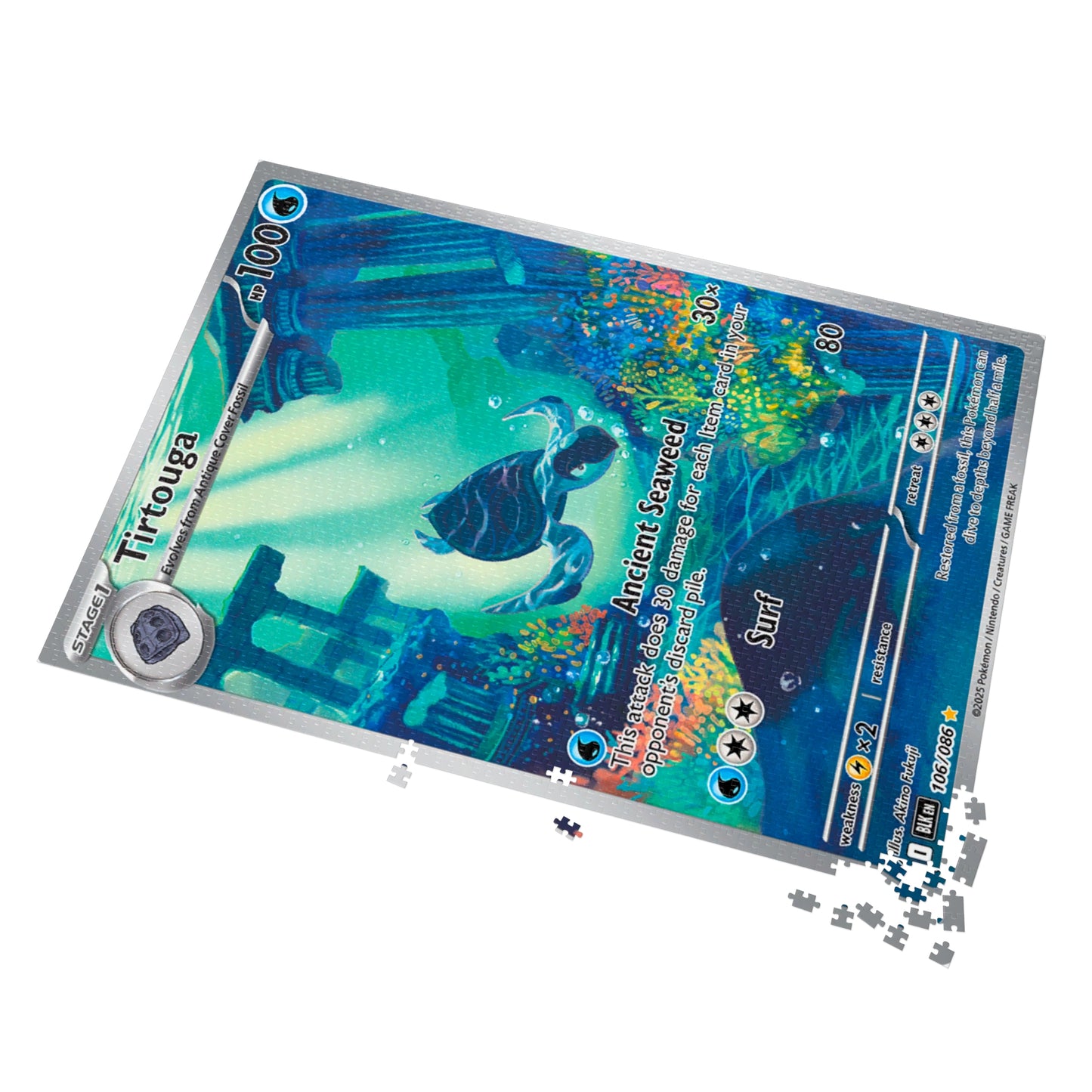 Tirtouga Jigsaw Puzzle