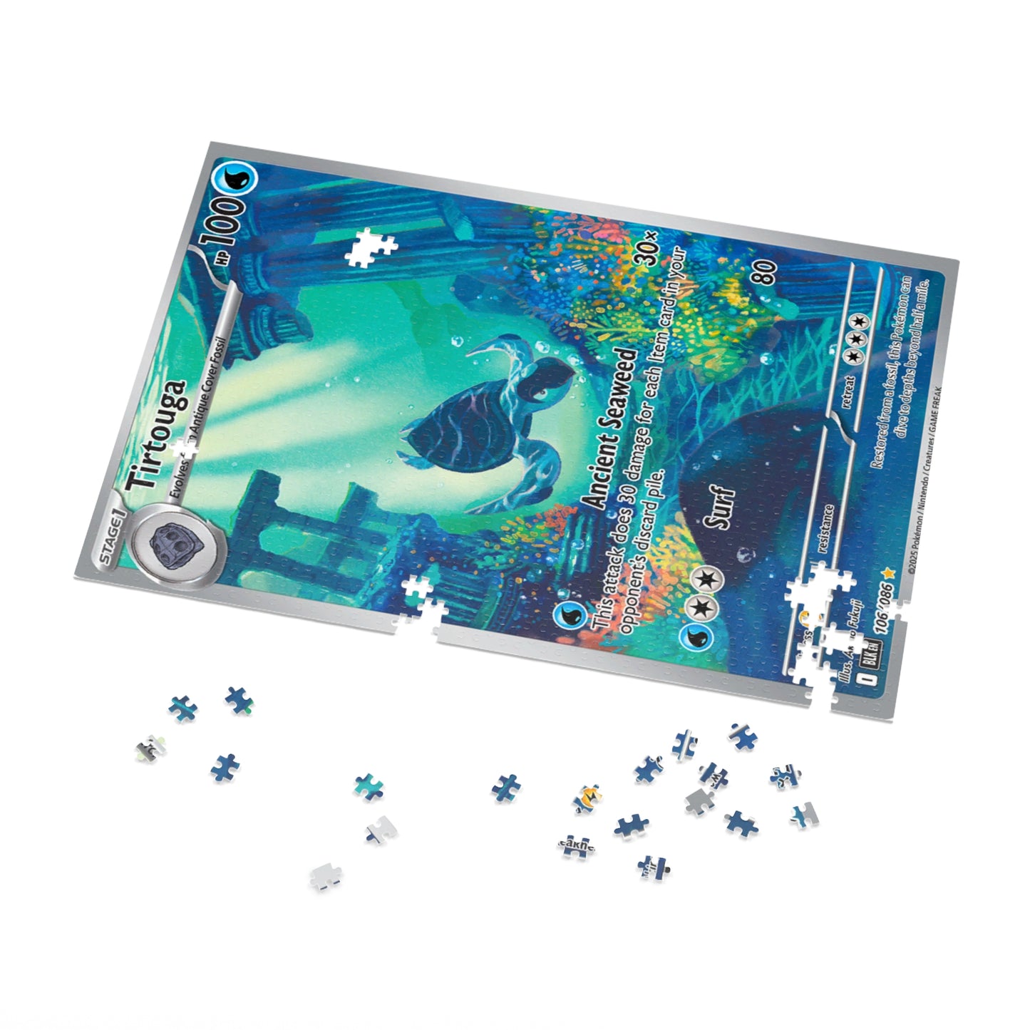 Tirtouga Jigsaw Puzzle