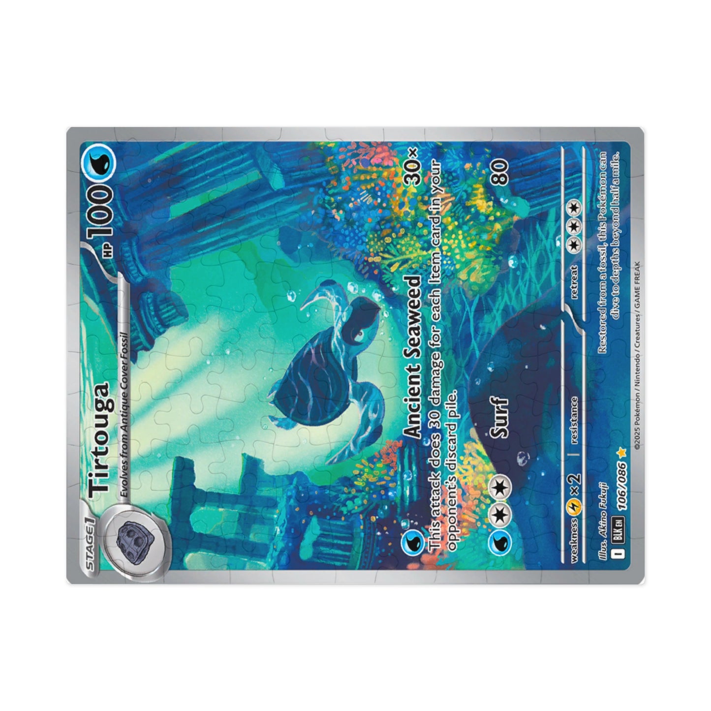 Tirtouga Jigsaw Puzzle